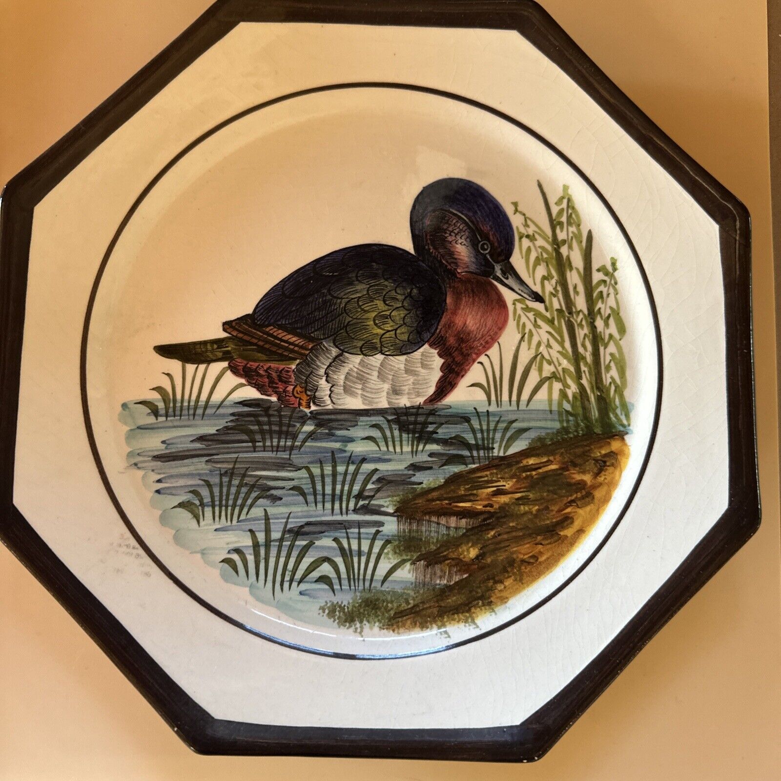 Set of 2 Vintage Italian Hand Painted Duck Wall Hanging Plate HOLSTEIN DURHAN