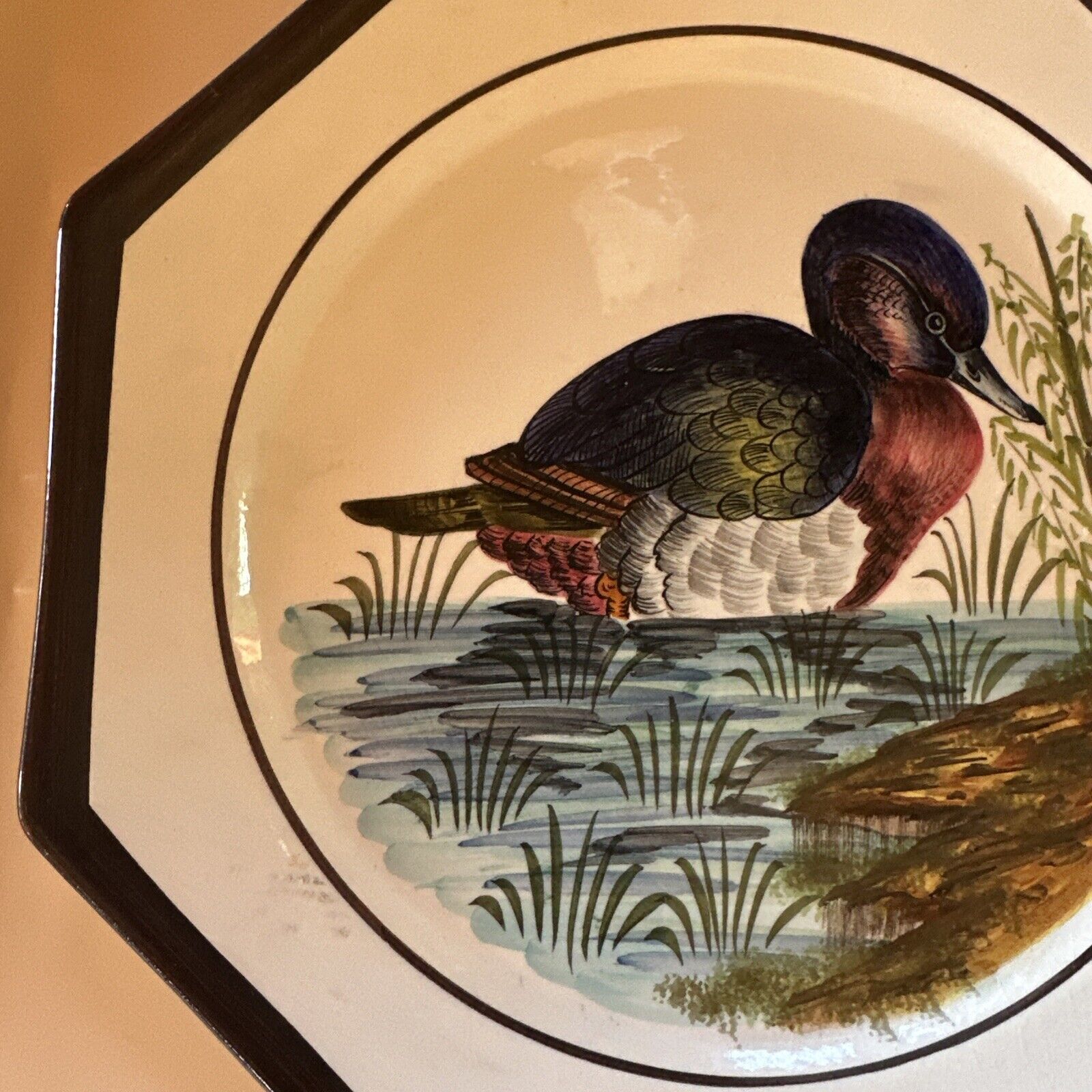 Set of 2 Vintage Italian Hand Painted Duck Wall Hanging Plate HOLSTEIN DURHAN