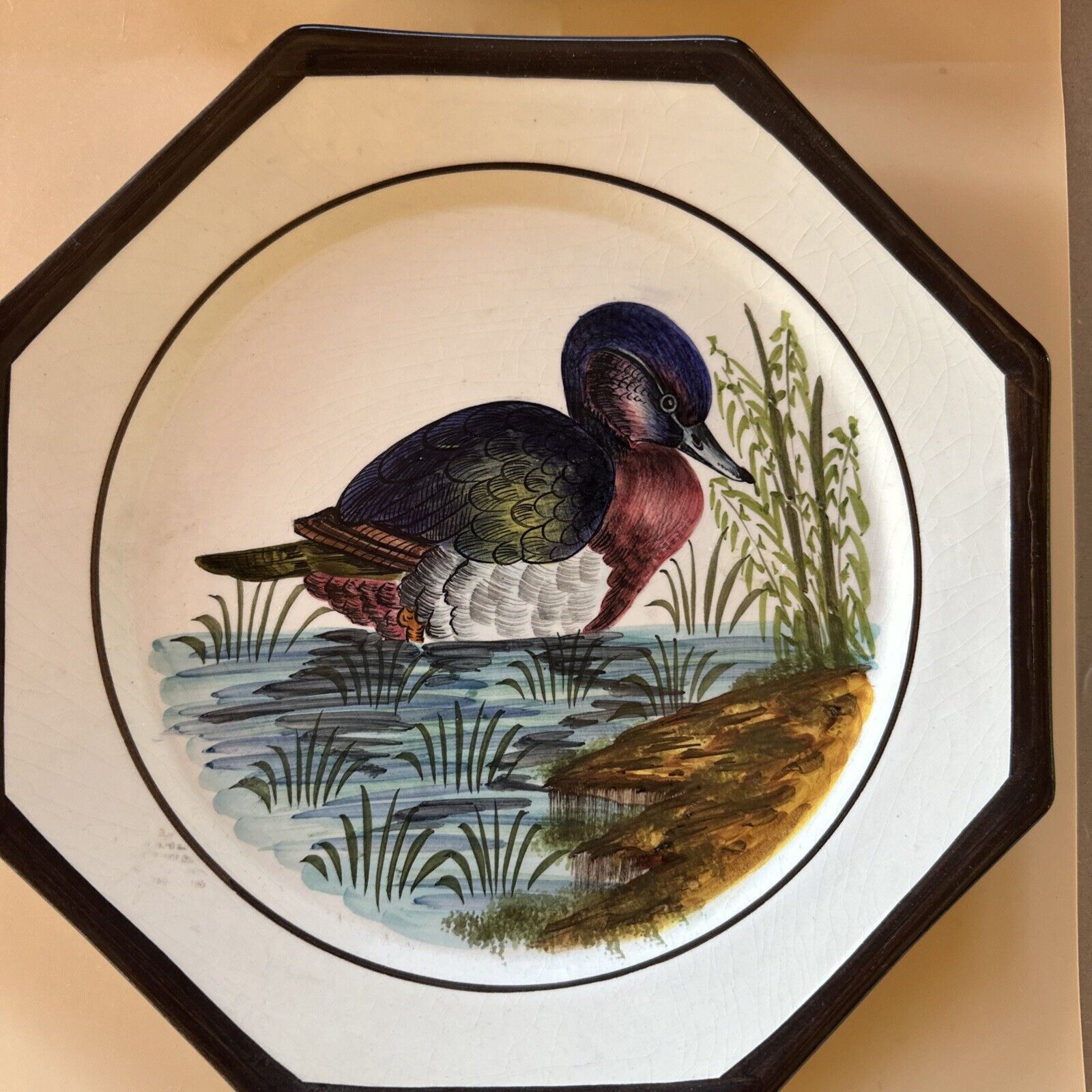 Set of 2 Vintage Italian Hand Painted Duck Wall Hanging Plate HOLSTEIN DURHAN