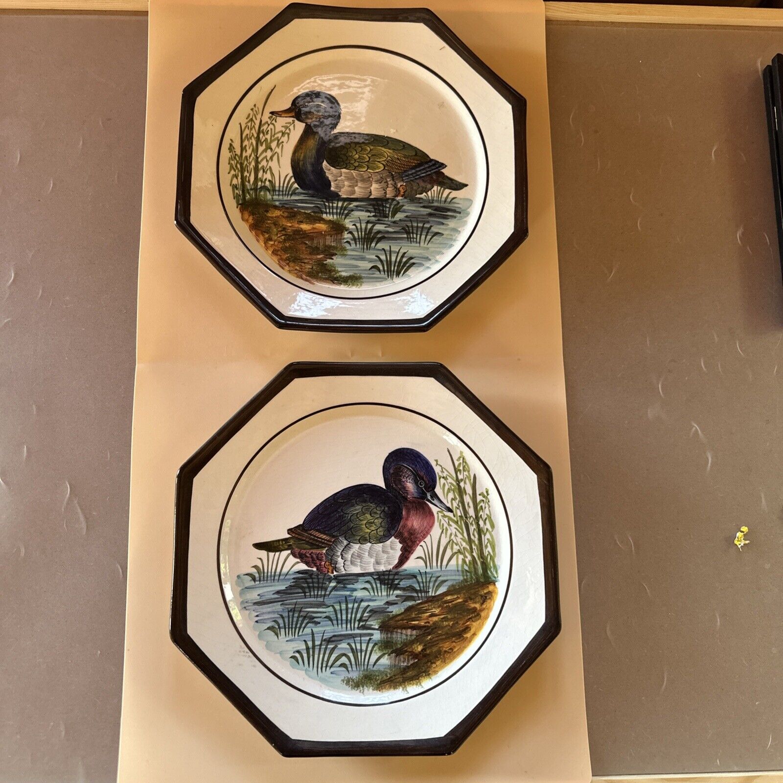 Set of 2 Vintage Italian Hand Painted Duck Wall Hanging Plate HOLSTEIN DURHAN