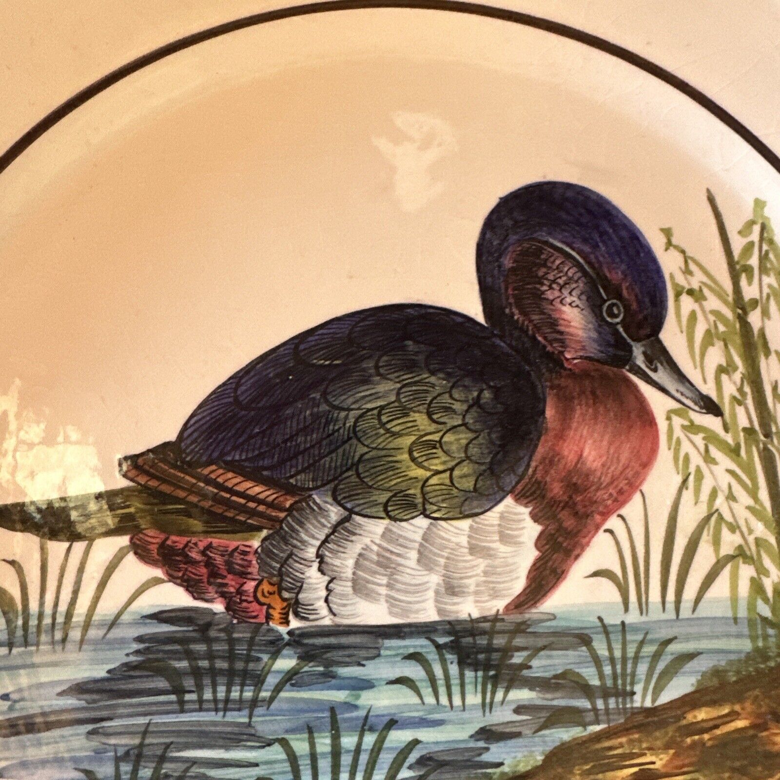 Set of 2 Vintage Italian Hand Painted Duck Wall Hanging Plate HOLSTEIN DURHAN